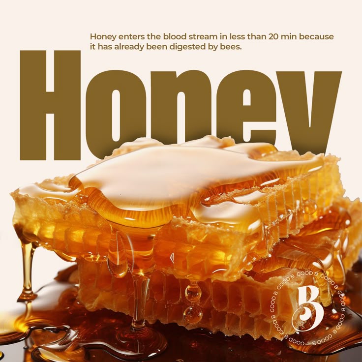 Pure Forest Raw Honey – 500g